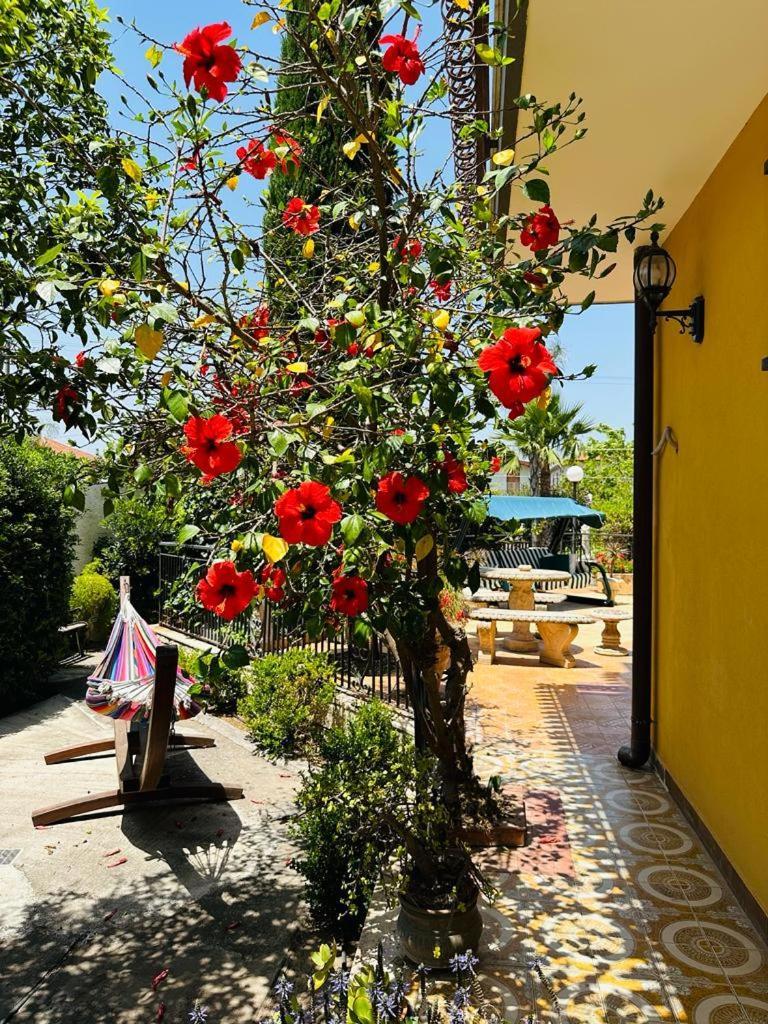 Villa Sicels - Agnone Beach - Syracuse Agnone Bagni Luaran gambar
